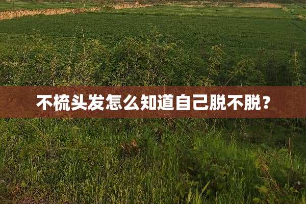 不梳头发怎么知道自己脱不脱？