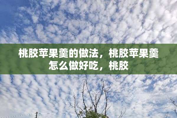 桃胶苹果羹的做法，桃胶苹果羹怎么做好吃，桃胶