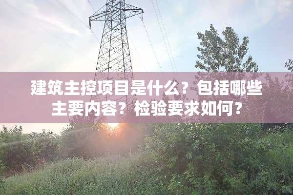 建筑主控项目是什么？包括哪些主要内容？检验要求如何？