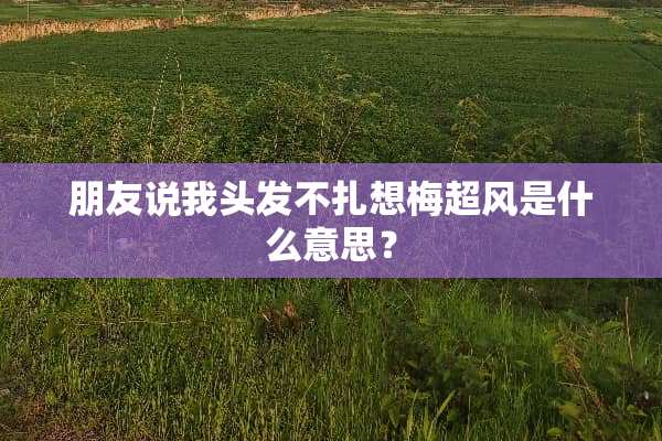 朋友说我头发不扎想梅超风是什么意思？