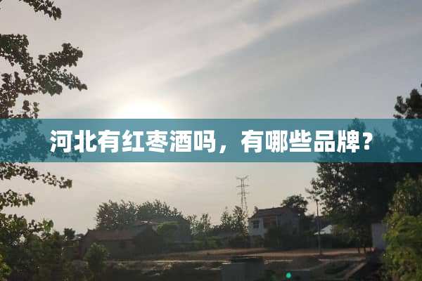 河北有红枣酒吗，有哪些品牌？