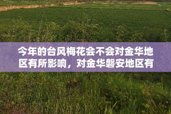 今年的台风梅花会不会对金华地区有所影响，对金华磐安地区有无影响 影响有多大