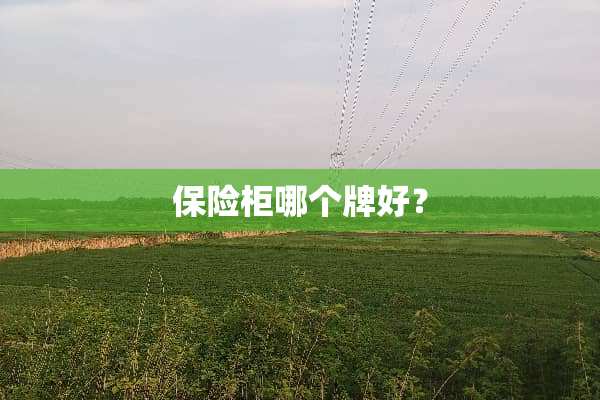 保险柜哪个牌好？