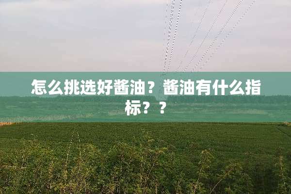 怎么挑选好酱油？酱油有什么指标？？