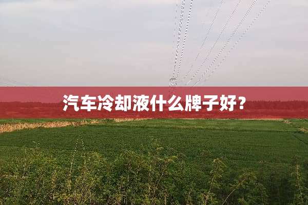 汽车**液什么牌子好？