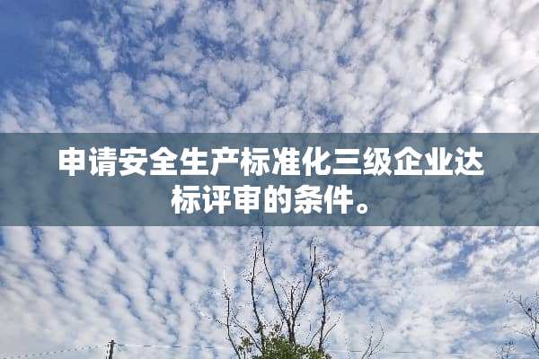 申请安全生产标准化**企业达标评审的条件。