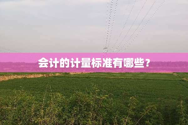 会计的计量标准有哪些？