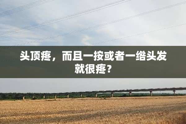 头顶疼，而且一按或者一绺头发就很疼？