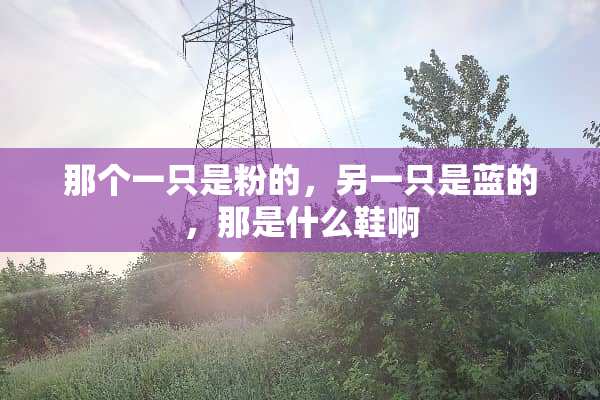 那个一只是粉的，另一只是蓝的，那是什么鞋啊