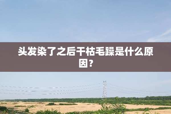头发染了之后干枯毛躁是什么原因？