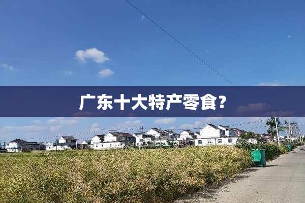 广东十大特产零食？