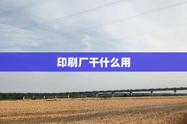 印刷厂干什么用