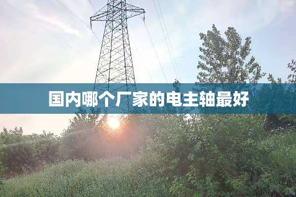 国内哪个厂家的电主轴最好