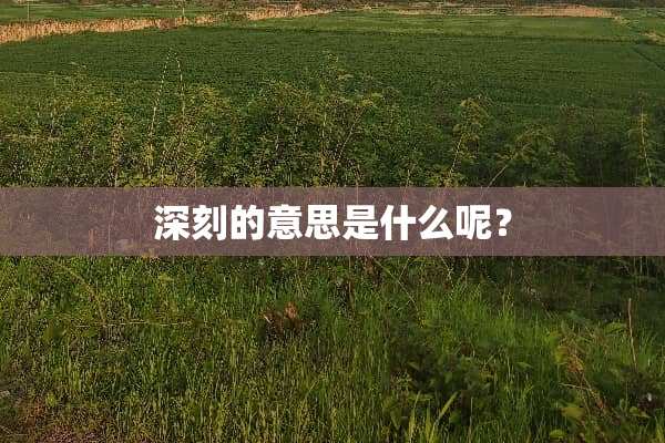 深刻的意思是什么呢？