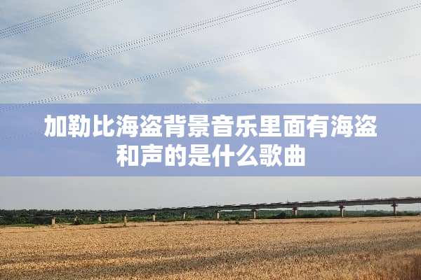 加勒比海盗背景音乐里面有海盗和声的是什么歌曲