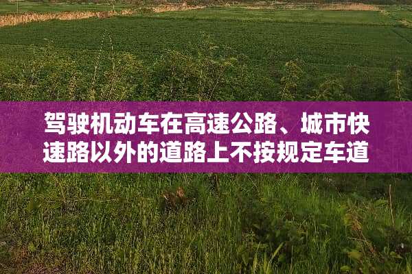 驾驶机动车在高速公路、城市快速路以外的道路上不按规定车道行驶的？什么处罚？