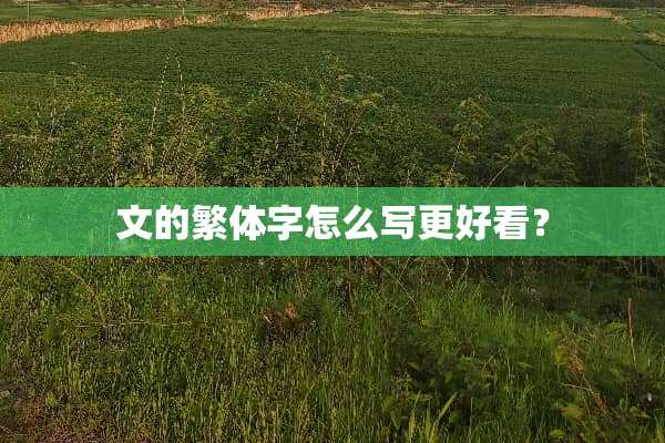 文的繁体字怎么写更好看？