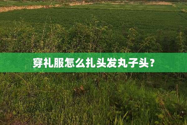 穿礼服怎么扎头发丸子头？