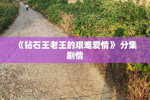 《钻石王老王的艰难爱情》 分集剧情