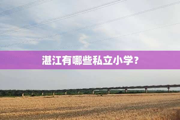 湛江有哪些私立小学？