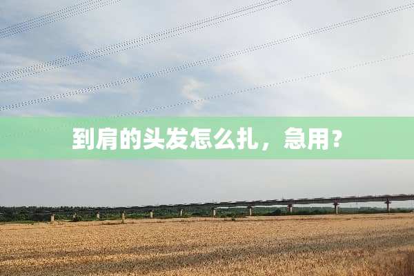 到肩的头发怎么扎，急用？