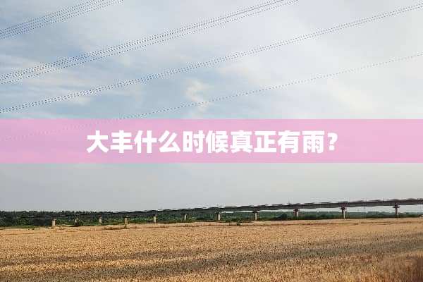 大丰什么时候真正有雨？