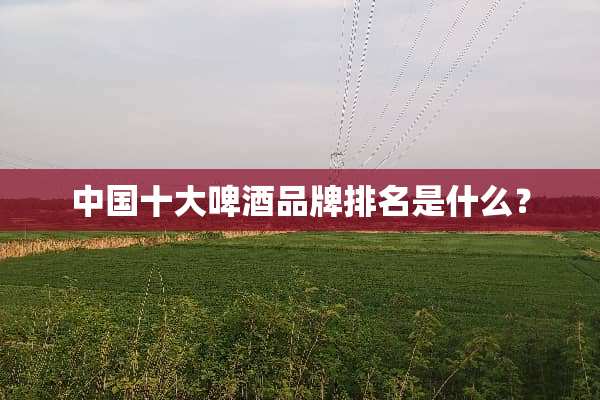 中国十大啤酒品牌排名是什么？