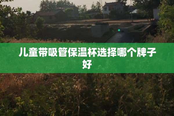 儿童带吸管保温杯选择哪个牌子好