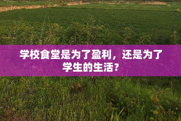 学校食堂是为了盈利，还是为了学生的生活？