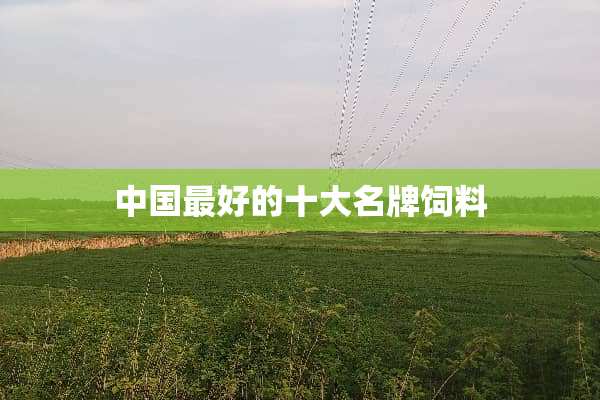 中国最好的十大名牌饲料