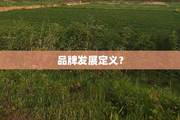 品牌发展定义？
