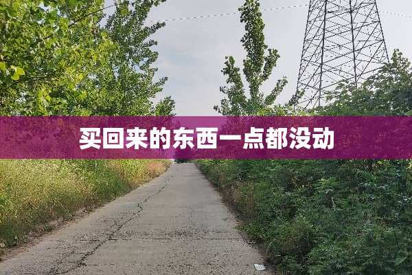 买回来的东西一点都没动