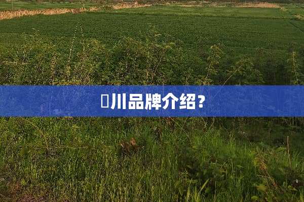 誀川品牌介绍？