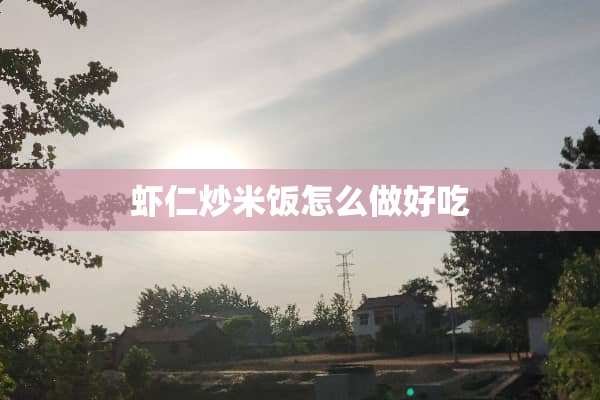 虾仁炒米饭怎么做好吃