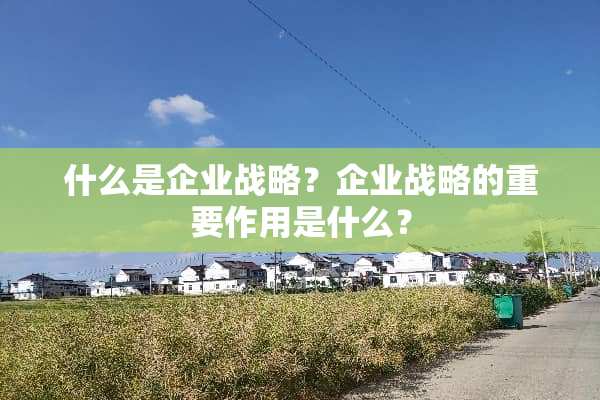 什么是企业战略？企业战略的重要作用是什么？