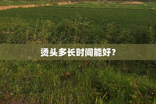 烫头多长时间能好？