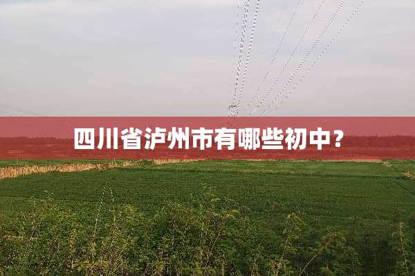 四川省泸州市有哪些初中？