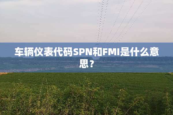 车辆仪表代码SPN和FMI是什么意思？