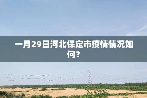一月29日河北保定市疫情情况如何？