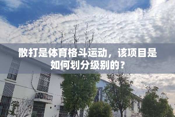 散打是体育格斗运动，该项目是如何划分级别的？