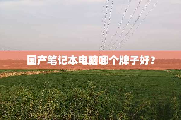 国产笔记本电脑哪个牌子好？