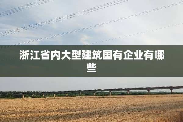 浙江省内大型建筑国有企业有哪些