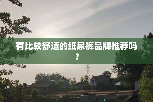 有比较舒适的纸尿裤品牌推荐吗？