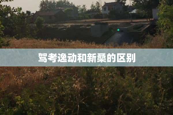 驾考逸动和新桑的区别