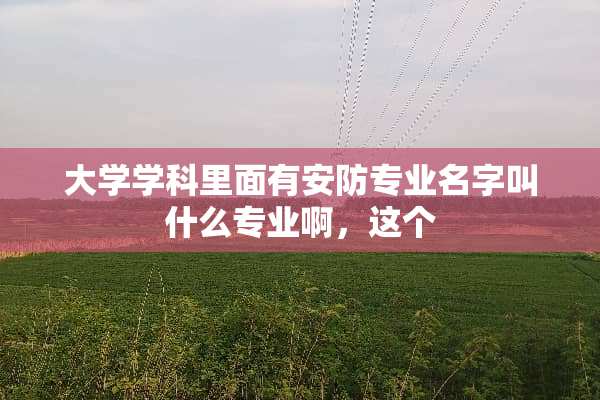 大学学科里面有安防专业名字叫什么专业啊，这个