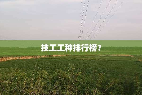 技工工种排行榜？