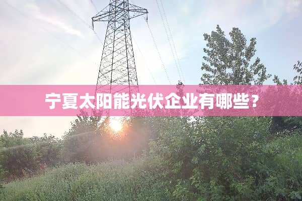 宁夏太阳能光伏企业有哪些？