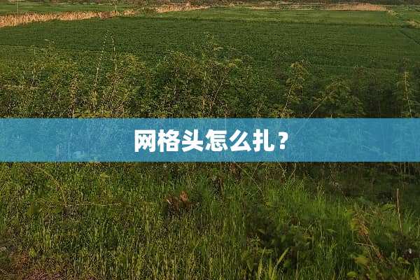 网格头怎么扎？