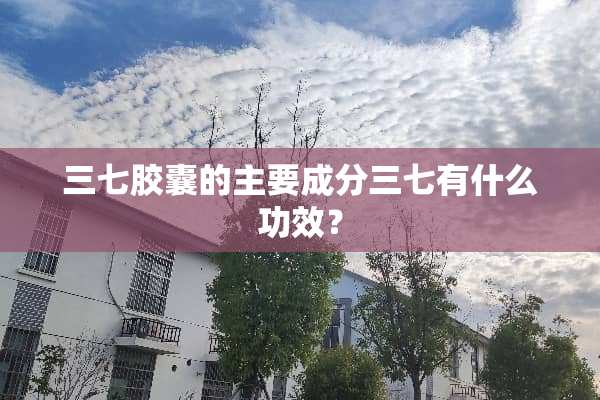 三七胶囊的主要成分三七有什么功效？