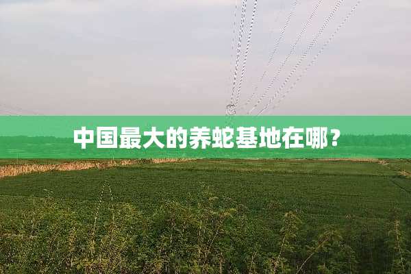 中国最大的养蛇基地在哪？